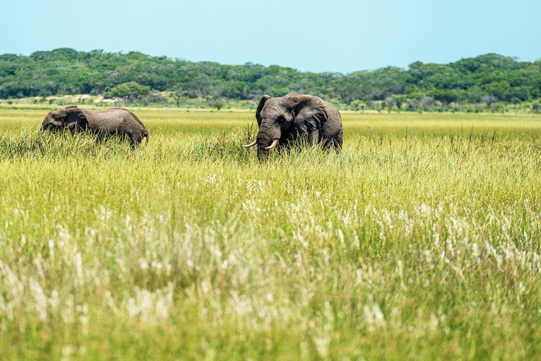 Montebelo Milibangalala Bay Resort Maputo Exteriör bild